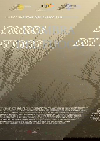 Poster of L'ombra del fuoco
