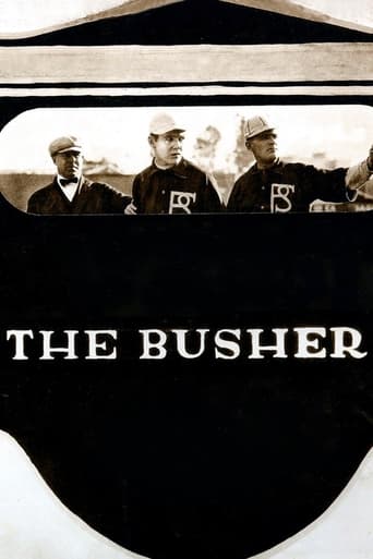 Poster of The Busher