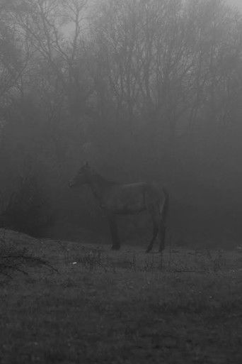 Poster of Plastic Flowers