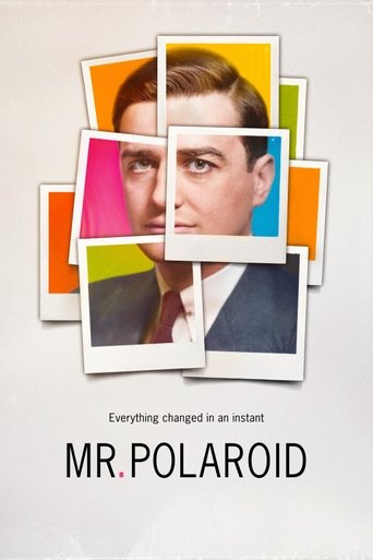 Poster of Mr. Polaroid
