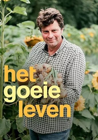Poster of Het goeie leven