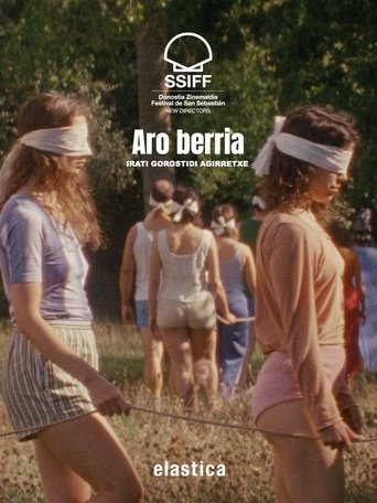 Poster of Aro berria