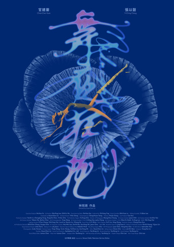 Poster of Midnight Valerie