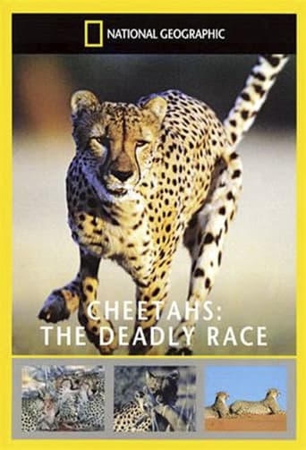 Poster of Cheetahs: The Deadly Race