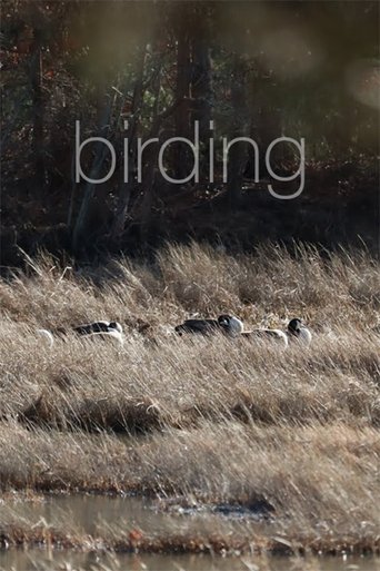 Birding Poster of Birding