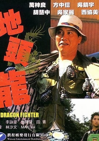 Poster of The Dragon Fighter