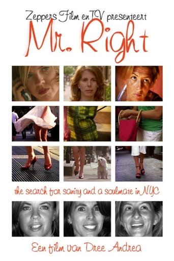 Poster of Mr. Right