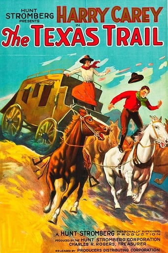 Poster of The Texas Trail