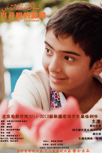 Poster of Xiao Kaiti's Vacation