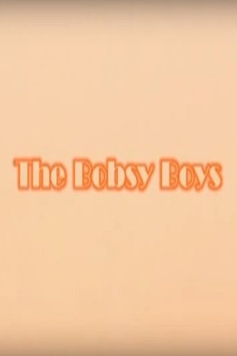 Poster of The Bobsy Boys