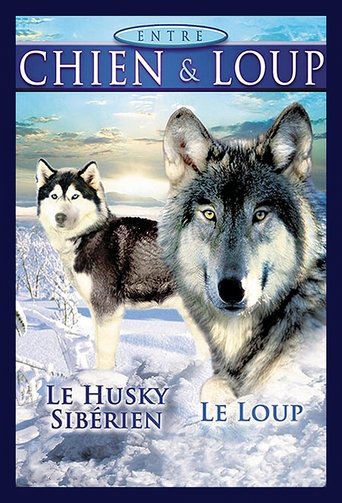 Poster of Between Dog and Wolf