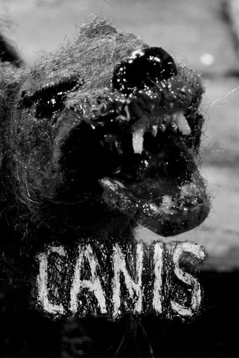 Canis Poster of Canis