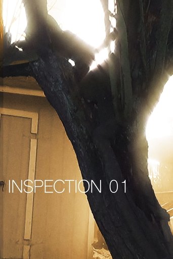 Poster of Inspection 01