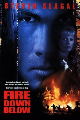 Poster of Fire Down Below