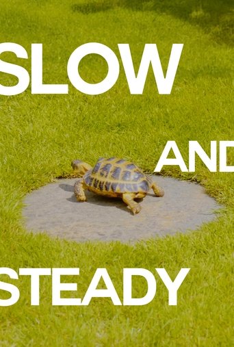 Slow and Steady Poster of Slow and Steady