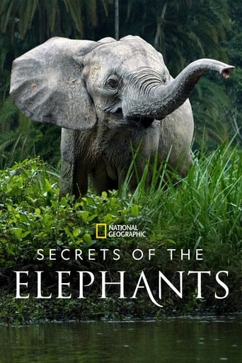 Poster of Secrets of the Elephants