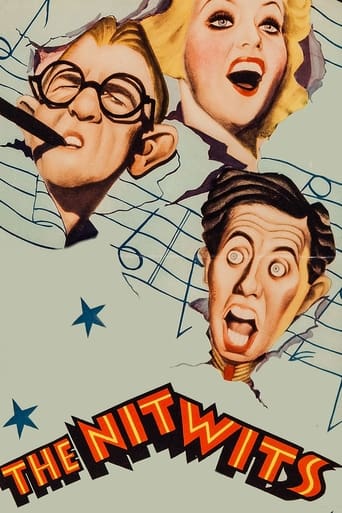 Poster of The Nitwits
