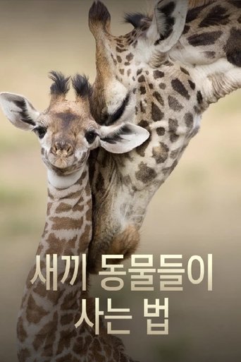 새끼 동물들이 사는 법 Poster of 새끼 동물들이 사는 법