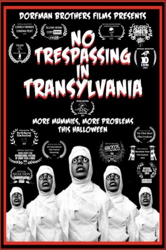 Poster of No Trespassing In Transylvania