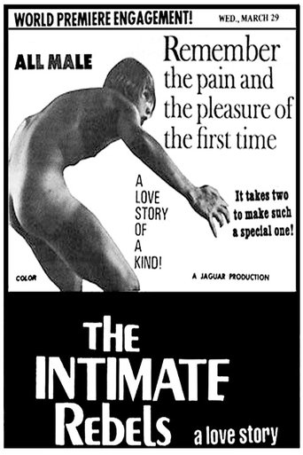 Poster of The Intimate Rebels