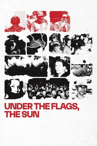 Poster of Under the Flags, the Sun