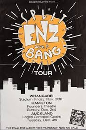 Poster of Enz with a Bang