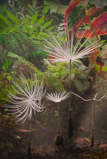 Poster of Dandelion's Odyssey