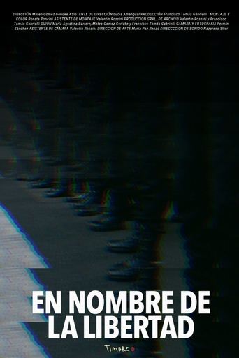 Poster of In the Name of Liberty
