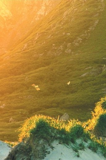 Poster of El Sueño de una cosa