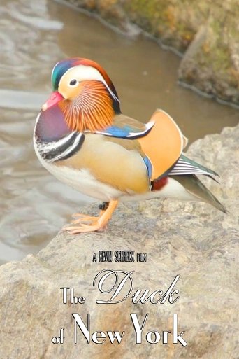 Poster of The Duck of New York