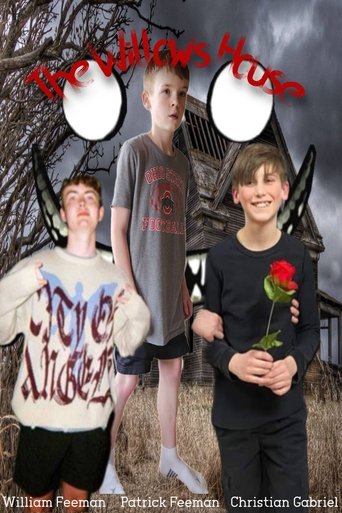 Poster of The Willows House