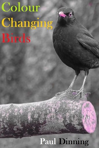 Poster of Colour Changing Birds