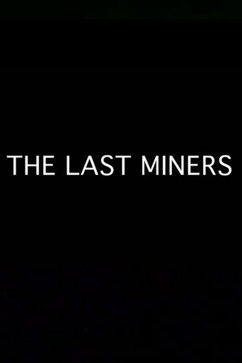 Poster of The Last Miners