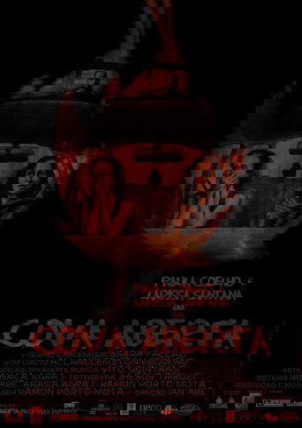Poster of Cova Aberta
