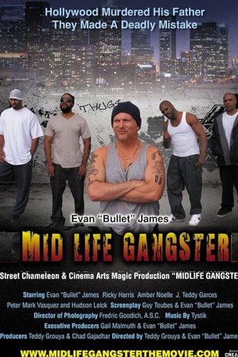 Poster of Mid Life Gangster