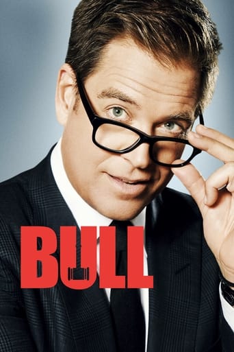 Portrait for Bull - Season 3