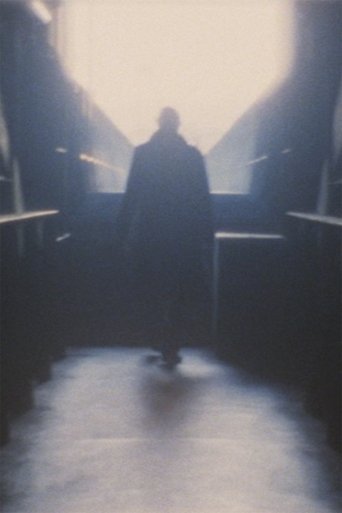 Poster of XXII/90 Wolf-Passerelle