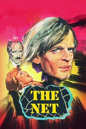 Poster of The Net