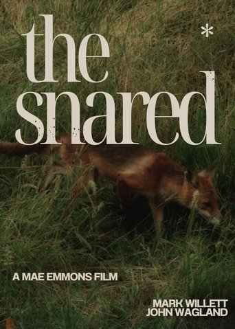 The Snared Poster of The Snared