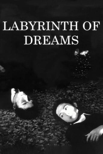 Poster of Labyrinth of Dreams