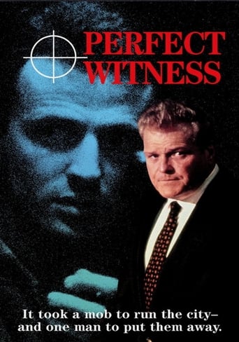Poster of Perfect Witness