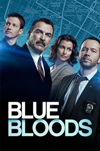 Portrait for Blue Bloods - Season 8