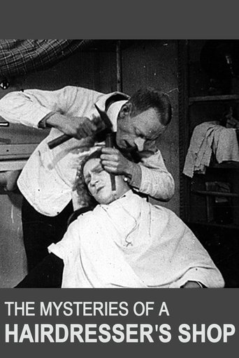 Poster of The Mysteries of a Hairdresser's Shop
