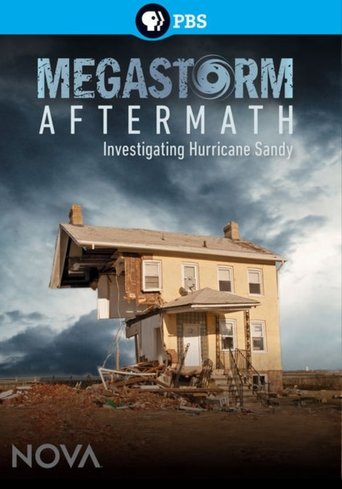Megastorm Aftermath Poster of Megastorm Aftermath