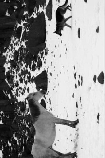 Poster of Little Block of Cement with Dishevelled Hair Containing the Sea