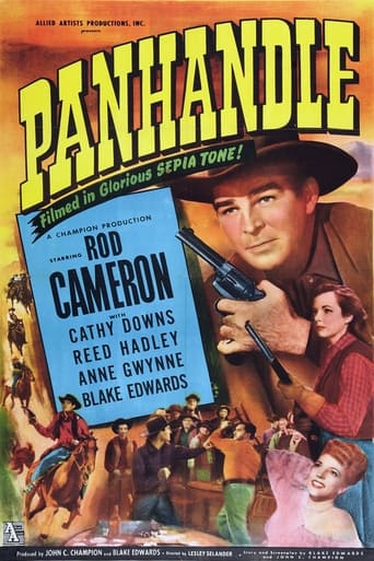 Poster of Panhandle