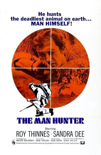 Poster of The Man Hunter