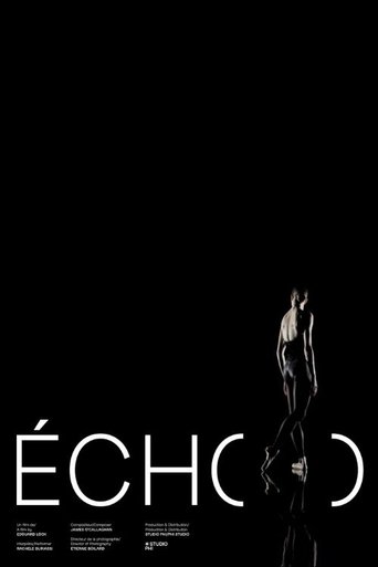 Poster of Écho