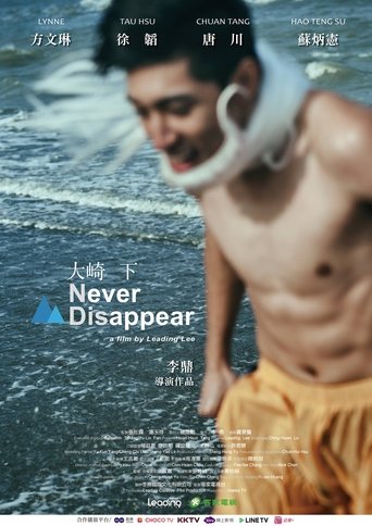 Poster of Never Disappear
