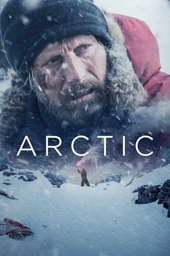 Poster of Arctic